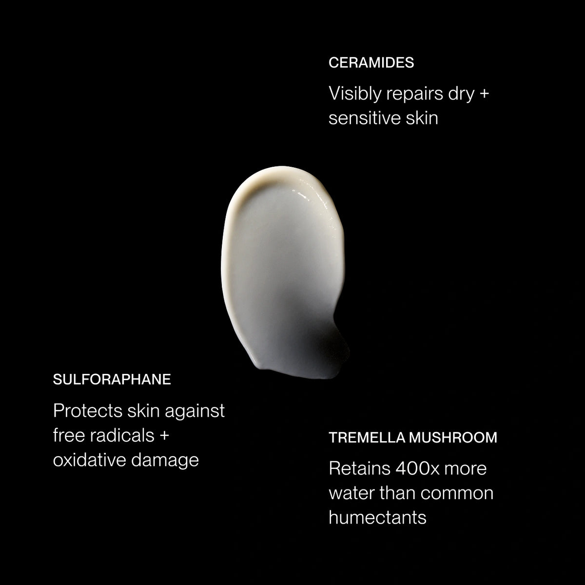BODY MOISTURIZER